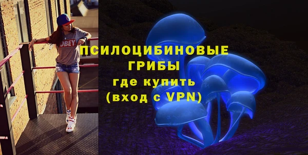 ПСИЛОЦИБИНОВЫЕ ГРИБЫ Лиски